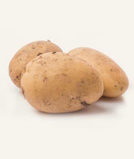 Fresh Potato